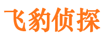 内乡捉小三公司